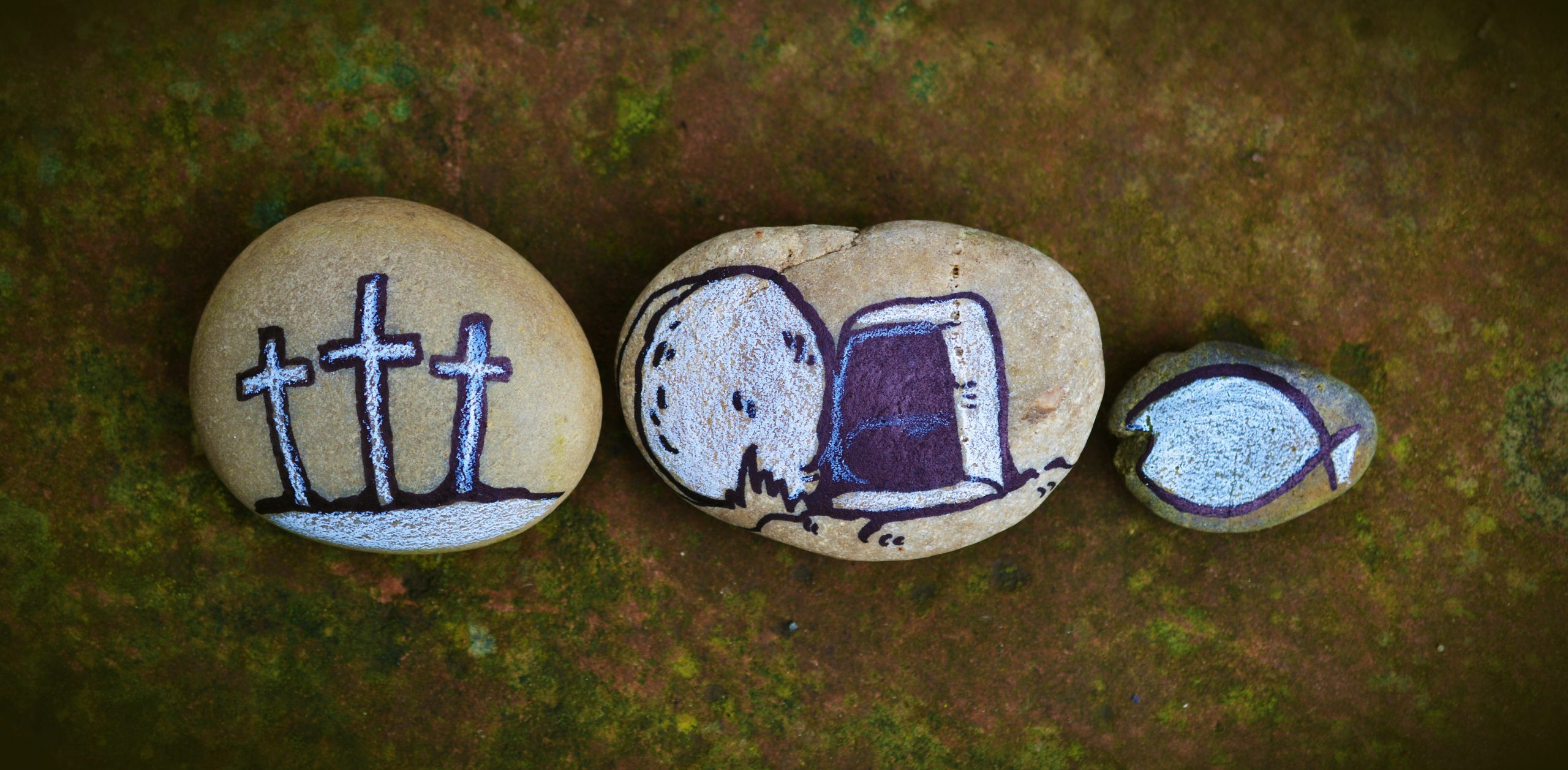 Rocks